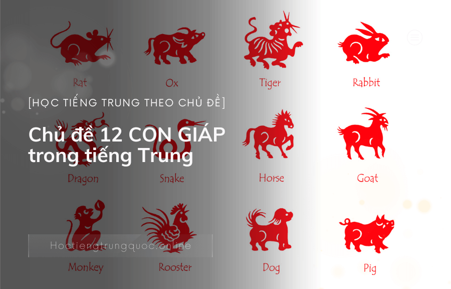 12 con giáp tiếng Trung